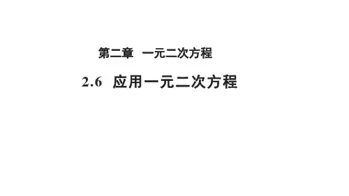 北师大版九年级数学上册2.6应用一元二次方程课件(共17张PPT)