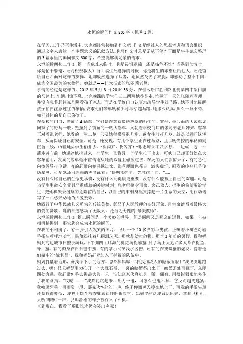 2023最新-永恒的瞬间作文800字(优秀3篇)