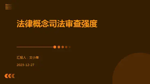 法律概念司法审查强度