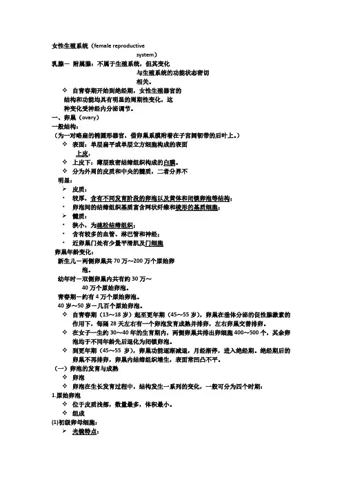 女性生殖系统