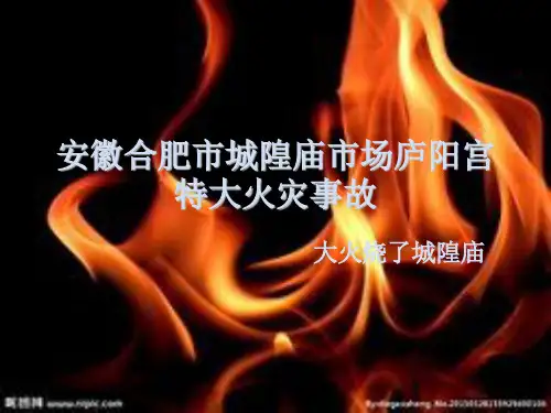 安徽合肥市城隍庙市场庐阳宫特大火灾事故