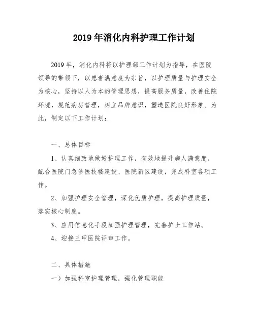 2019年消化内科护理工作计划