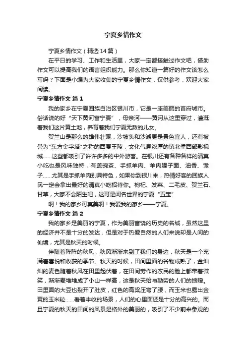 宁夏乡情作文
