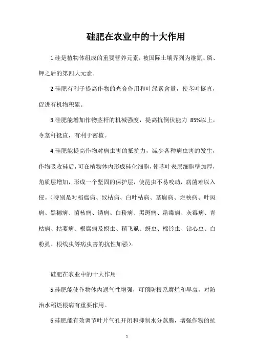 硅肥在农业中的十大作用