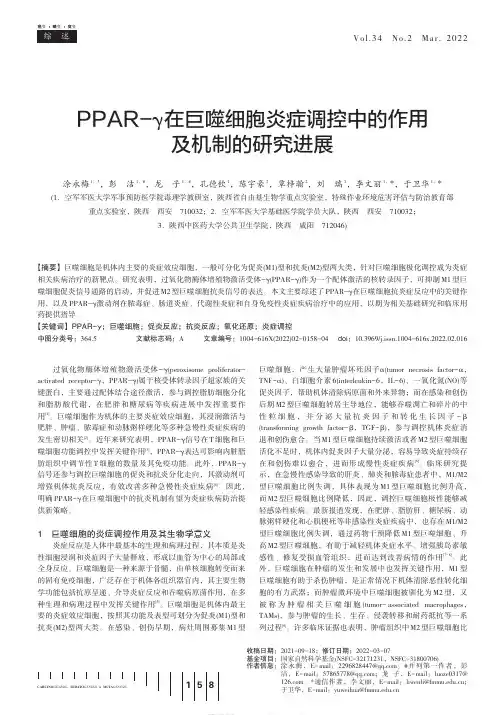 PPAR-γ在巨噬细胞炎症调控中的作用及机制的研究进展
