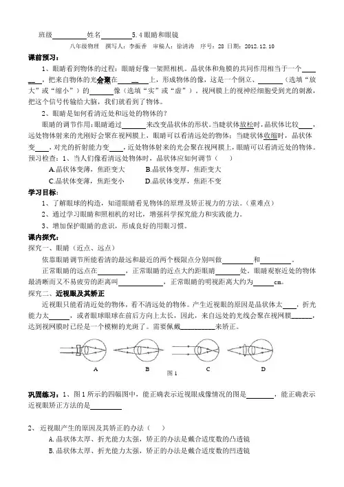 5.4眼睛和眼镜教学案