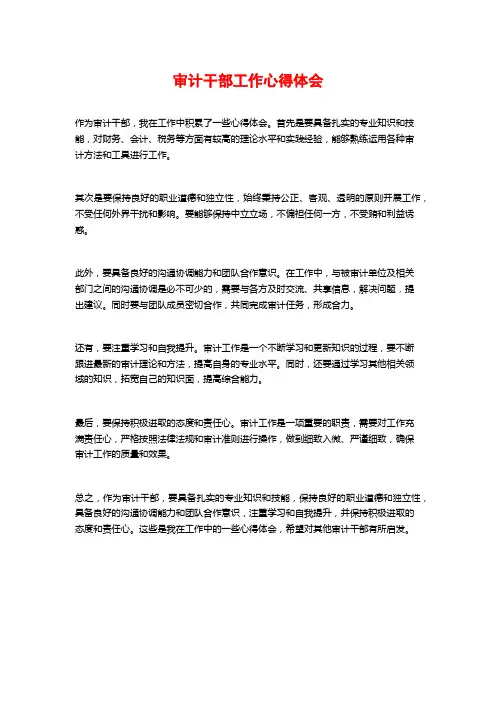 审计干部工作心得体会