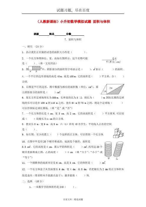 人教版六年级数学小升初专题练习：面积与体积