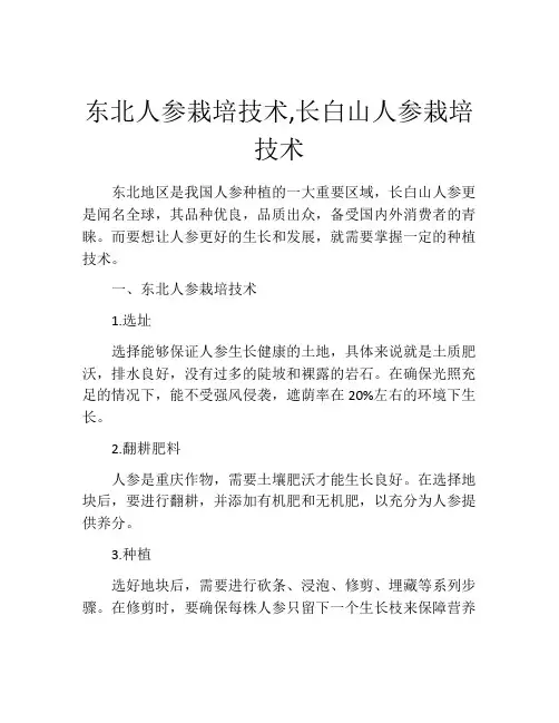 东北人参栽培技术,长白山人参栽培技术