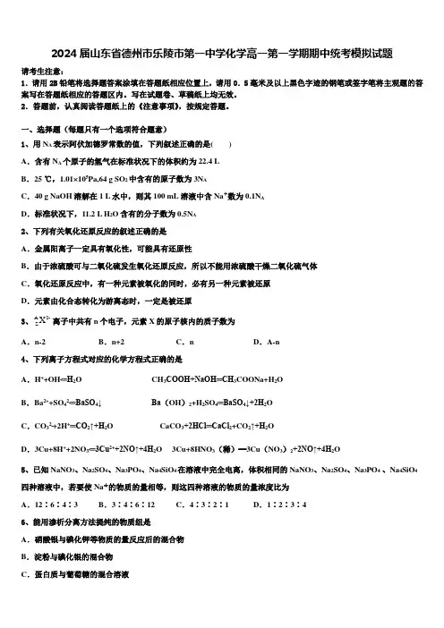 2024届山东省德州市乐陵市第一中学化学高一第一学期期中统考模拟试题含解析