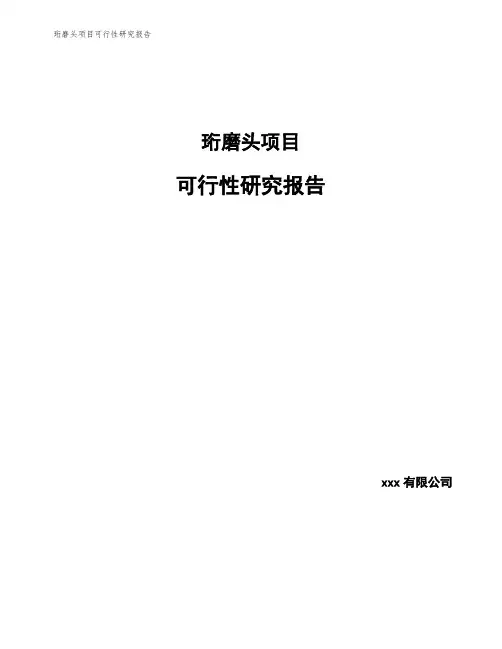 珩磨头项目可行性研究报告