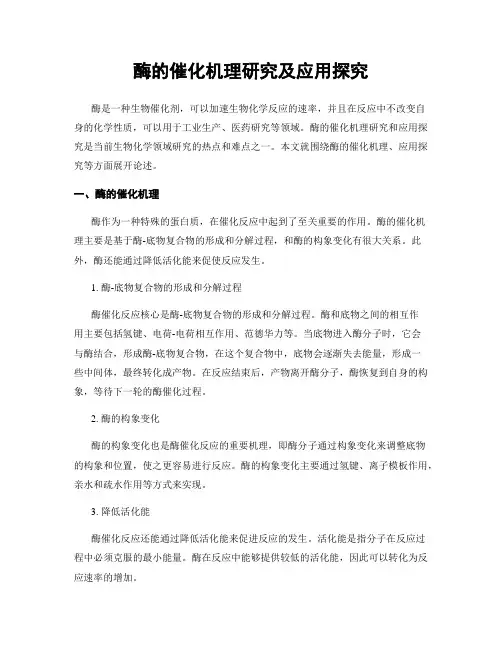 酶的催化机理研究及应用探究