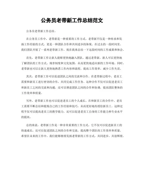 公务员老带新工作总结范文