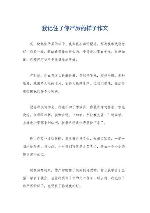 我记住了你严厉的样子作文