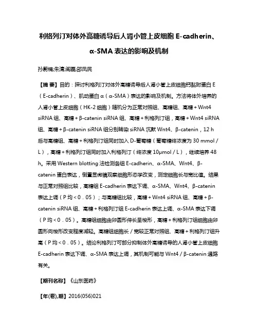 利格列汀对体外高糖诱导后人肾小管上皮细胞E-cadherin、α-SMA表达的影响及机制