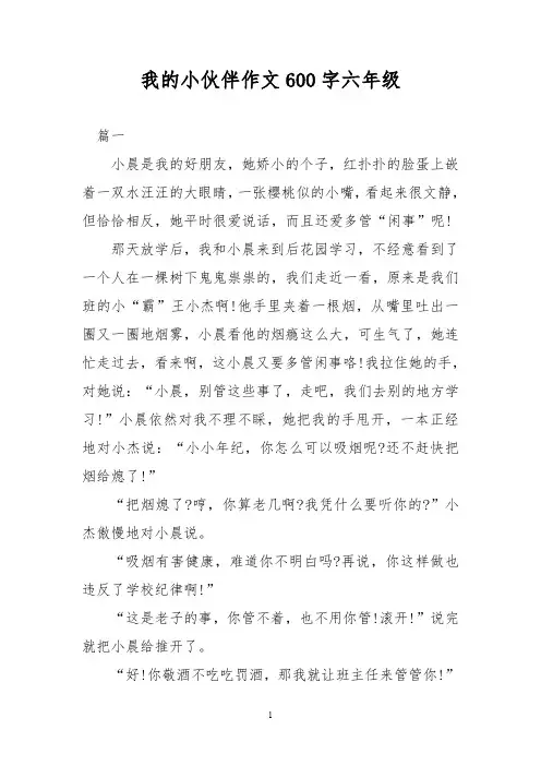 优秀作文：我的小伙伴作文600字六年级