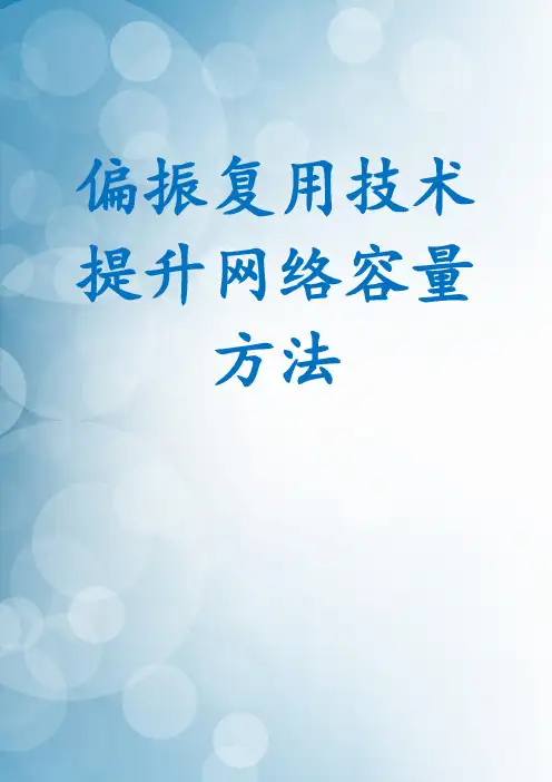 偏振复用技术提升网络容量方法