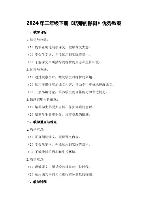2024年三年级下册《路旁的橡树》优秀教案