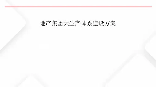TOP地产集团大生产体系建设方案