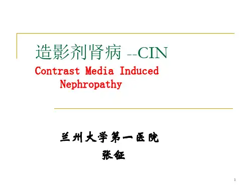 造影剂肾病PPT参考幻灯片
