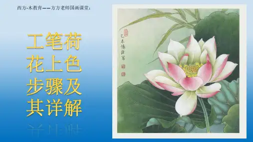 工笔荷花上色-中5-22资料