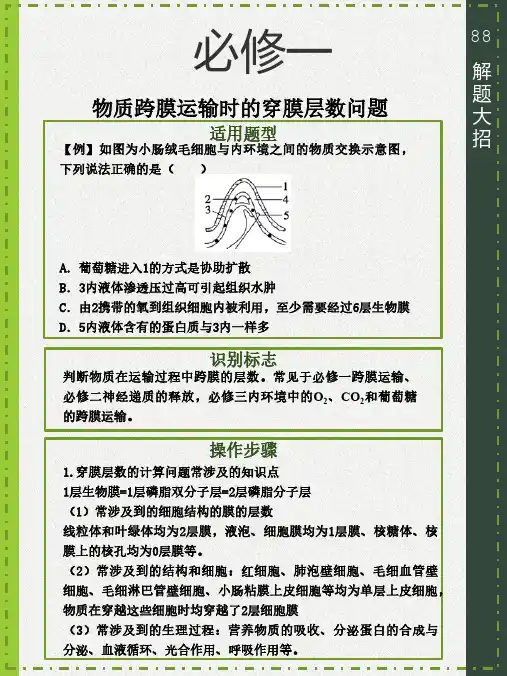物质跨膜运输时的穿膜层数问题