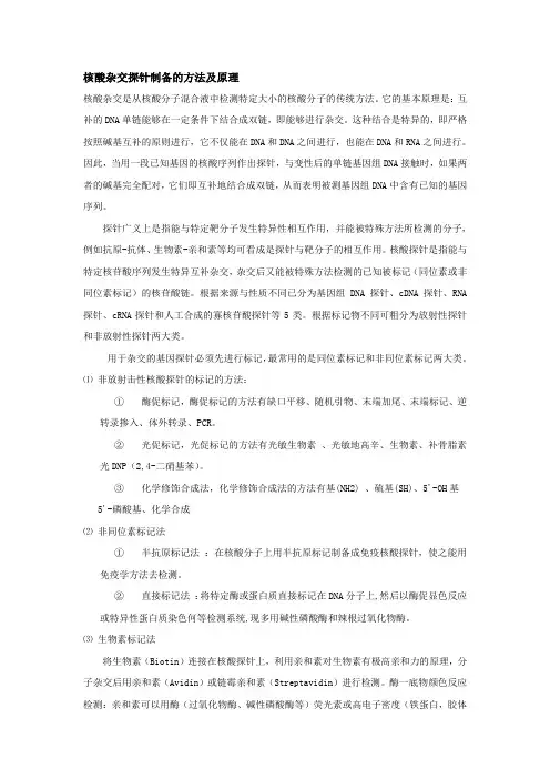 探针的制备