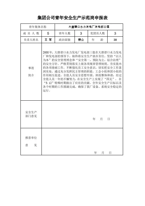 集团公司青年安全生产示范岗申报表