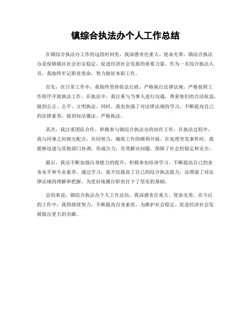 镇综合执法办个人工作总结