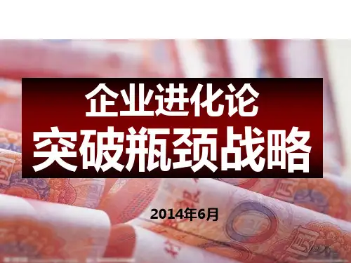 企业进化论(和君)PPT课件