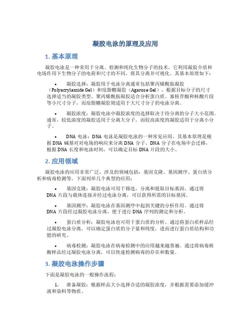 凝胶电泳的原理及应用