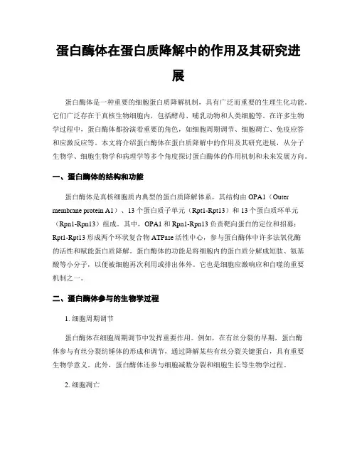 蛋白酶体在蛋白质降解中的作用及其研究进展
