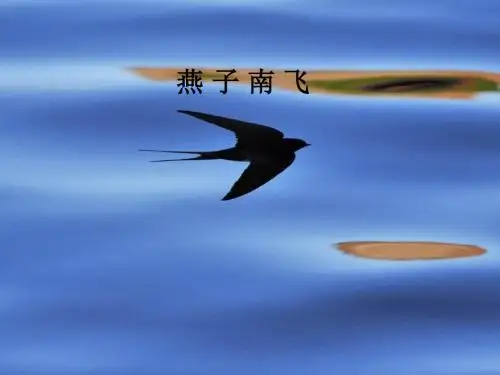 五年级上册科学燕子南飞冀教版