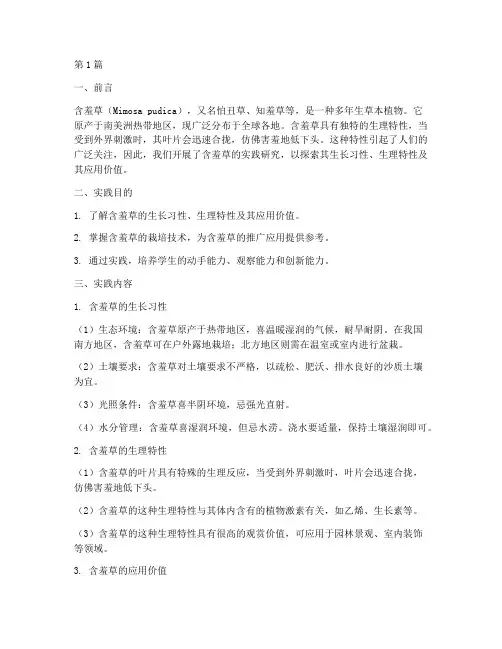 含羞草实践报告(2篇)