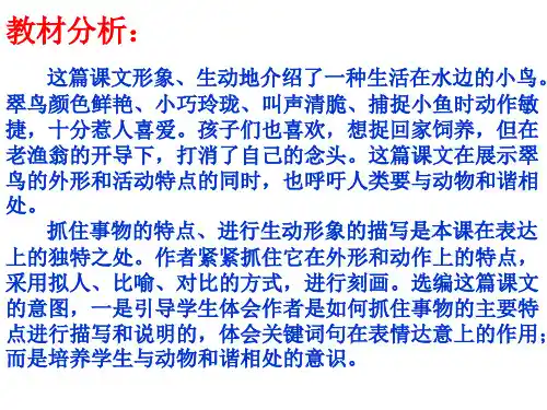 《翠鸟》PPT课件