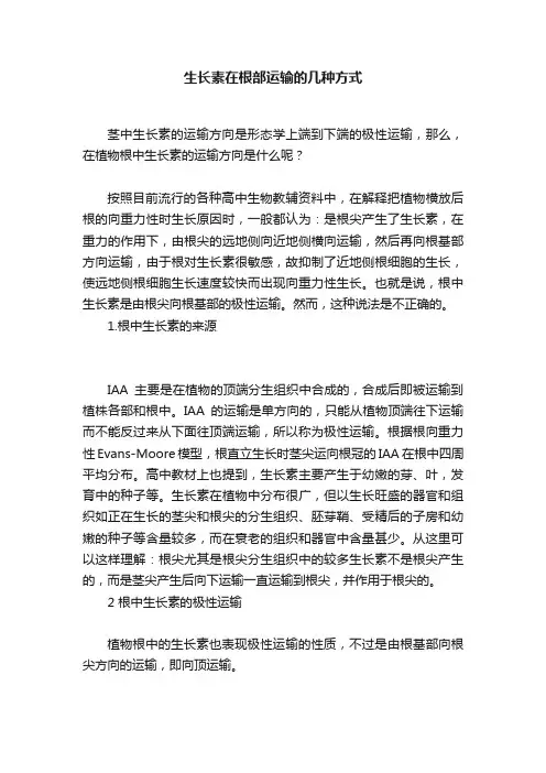 生长素在根部运输的几种方式