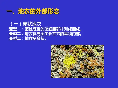 第一章-地衣的形态与结构-幻灯片(1)