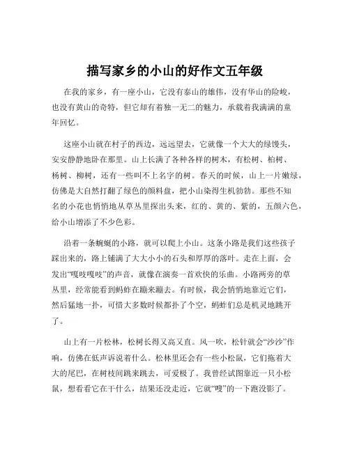 描写家乡的小山的好作文五年级