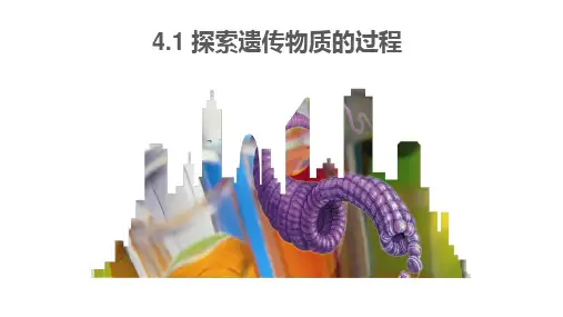 4.1探索遗传物质的过程