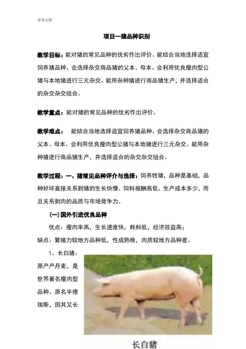 项目一猪品种识别