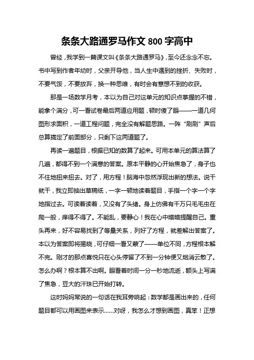 条条大路通罗马作文800字高中