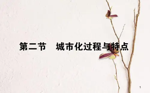 高中地理 第二章 城市与环境 2.2 城市化过程与特点课件 湘教版必修2.pptx