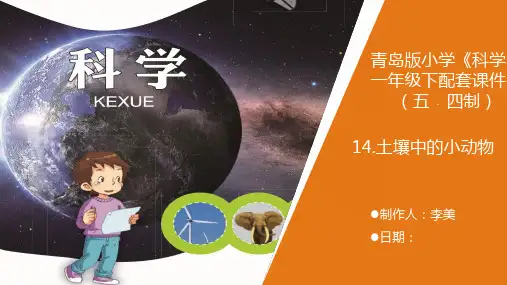 一年级下14《土壤中的小动物》青岛版