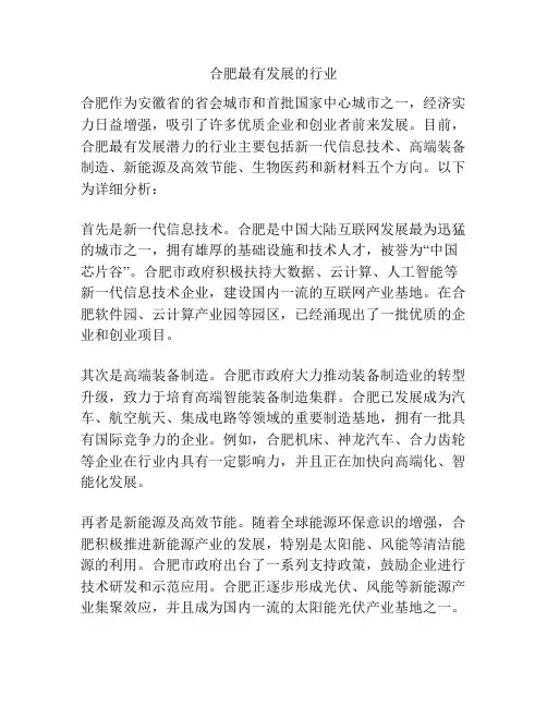 合肥最有发展的行业