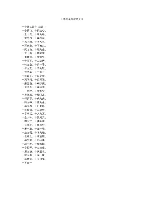 十字开头的成语大全 2