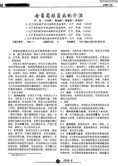 禽葡萄球菌病的诊治