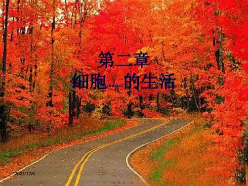 七年级生物上册第二单元第二章第一节《细胞的生活需要物质和能量》