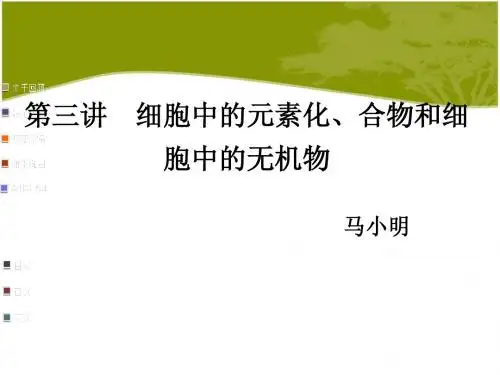 人教版·高中生物·高三一轮复习课件·第3讲  细胞中的元素和化合物