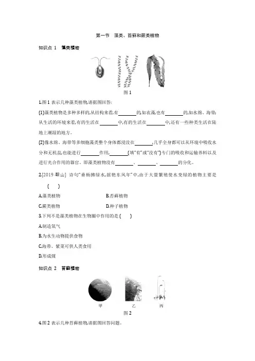 2022人教版七年级上册生物 第三单元第一章同步考点测试题附答案