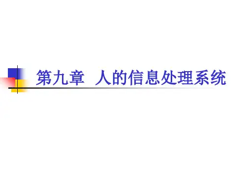 《第9章 人的信息处理系统》人因工程教材精品文档54页